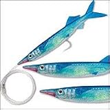 Live Ballyhoo 9 J-Rig Blue