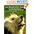 The Domestic Dog: Its Evolution, Behaviour and Interactions with People