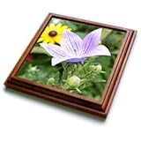Natures Expression in Lavender - 8x8 Trivet With 6x6 Ceramic Tile