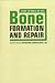 Bone Formation and Repair