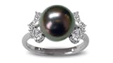 Size 5 18K white gold Siona Black Tahitian south sea cultured pearl and diamond ring