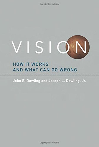 Vision: How It Works and What Can Go Wrong (MIT Press)