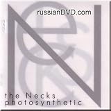 Photosynthetic