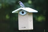 Recycled Ultimate Bluebird House w/Viewing Win