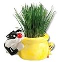 Chia Cat Grass Planter