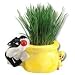 Chia Cat Grass Planter