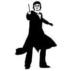 Harry Potter Casting Spell Decal Sticker