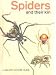 Search : Spiders and Their Kin (Golden Nature Guide)