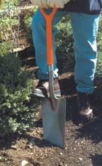SPADE LEONARD FIBERGLASS NURSERY