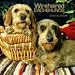 dachshund7 - Wirehaired Dachshunds 2010 Wall Calendar