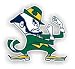Notre Dame Fighting Irish Logo - Set of 2 Wallpaper Rolls