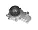 Eastern Industries 18-1385 New Water Pump