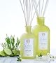 Antica Farmacista Blade of Grass (Filo d'Erbe) Home Ambiance Fragrance