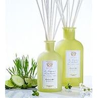 Antica Farmacista Blade of Grass (Filo dErbe) Home Ambiance Fragrance by Antica Farmacista