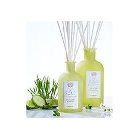  Antica Farmacista Blade of Grass (Filo dErbe) Home Ambiance Fragrance