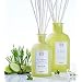 Antica Farmacista Blade of Grass (Filo d'Erbe) Home Ambiance Fragrance