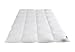 Confronta prezzi B�hmerwald 309601-22 Piumone con cuscinetti interni 4 cm, 200x200 cm