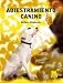 Adiestramiento Canino / Dog Training