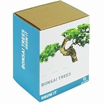 Gift Republic: Grow It. Grow Your Own Bonsai Trees