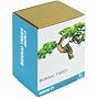 Gift Republic: Grow It. Grow Your Own Bonsai Trees