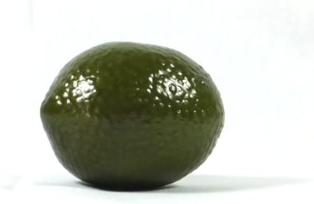 6pc Artificial Lime Large - Plastic Green Pears Fruit - Five