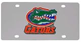 AHCLP180 Florida Gators License Plate