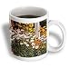 A Flower Garden with White, Orange and Yellow near a Wooden Fence - 15oz Mug