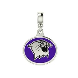 Northwestern Wildcats Enamel Drop Charm Fits All Pandora Style Bracelets