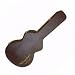 Musical Instruments : Goldtone Weissenborn Hard Case