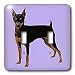 Dogs Miniature Pinscher - Miniature Pinscher - Light Switch Covers - double toggle switch