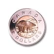 Toonie Polar Bear the Toonie Bear or Toonie or Polar Is the Two Dollar Coin of Canada
