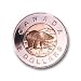 Toonie Polar Bear the Toonie Bear or Toonie or Polar Is the Two Dollar Coin of Canada