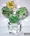Fifth Avenue Crystal Reflections Cactus Flower Planter