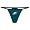 Philadelphia Eagles Women's Fall Flirt Thong - Small