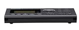 Tascam GB-10 Guitar Trainer/Recorder