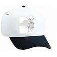 White Cap with scarab, invertebrate, wings, june, beetle, skalbagge, insect, cockchafer, anatomy, anatomi, animal, arthropod, may, chafer