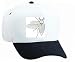 White Cap with scarab, invertebrate, wings, june, beetle, skalbagge, insect, cockchaf...
