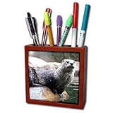 Wild animals - Otter - Tile Pen Holders-5 inch tile pen holder