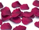 Tanday Fuschia 1000 Hand-cut Silk Rose Petals Wedding Party Favors .