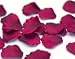 Tanday Fuschia 1000 Hand-cut Silk Rose Petals Wedding Party Favors .
