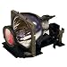 Electronics : Ezpro 730/735 User Replaceable Lamp 130w