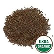 Organic Sprouting Broccoli Seeds, One Pound - Todd's Seeds