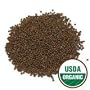 Organic Sprouting Broccoli Seeds, One Pound - Todd's Seeds