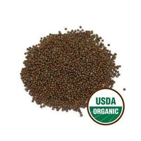 Organic Sprouting Broccoli Seeds, One Pound - Todd's Seeds