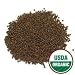 Organic Sprouting Broccoli Seeds, One Pound - Todd's Seeds