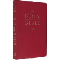 ESV Gift and Award Bible (Burgundy)