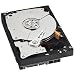 WesternDigital WD1002FAEX-R CaviaBlack 3.5inch 7200rpm 1TB 64MB SATA/3.0Gbs WesternDigital WD1002FAEX-R CaviaBlack 3.5inch 7200rpm 1TB 64MB SATA/3.0Gbs