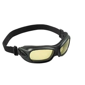 Jackson 3013710 Wildcat Goggle Black Frame Clear Lens Anti Fog 1 Each