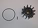 Sherwood Pump 29000K-SHW IMPELLER KIT W-O-RING