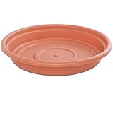 Bloem SDC24-46 Dura Cotta Plant Saucer, 22-Inch, Terra Cotta